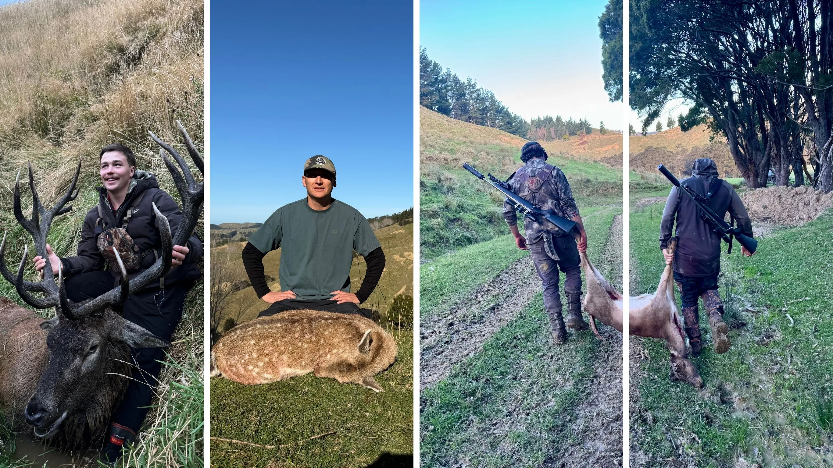 Four photos: Bayley with a red stag in tussock, Karl with a fallow buck on a grass face, and two hunters carrying deer out on foot with rifles slung